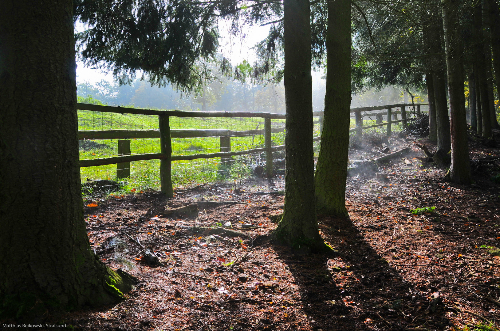 ein Herbstmorgen