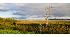 Ein Herbstmorgen am Bodden