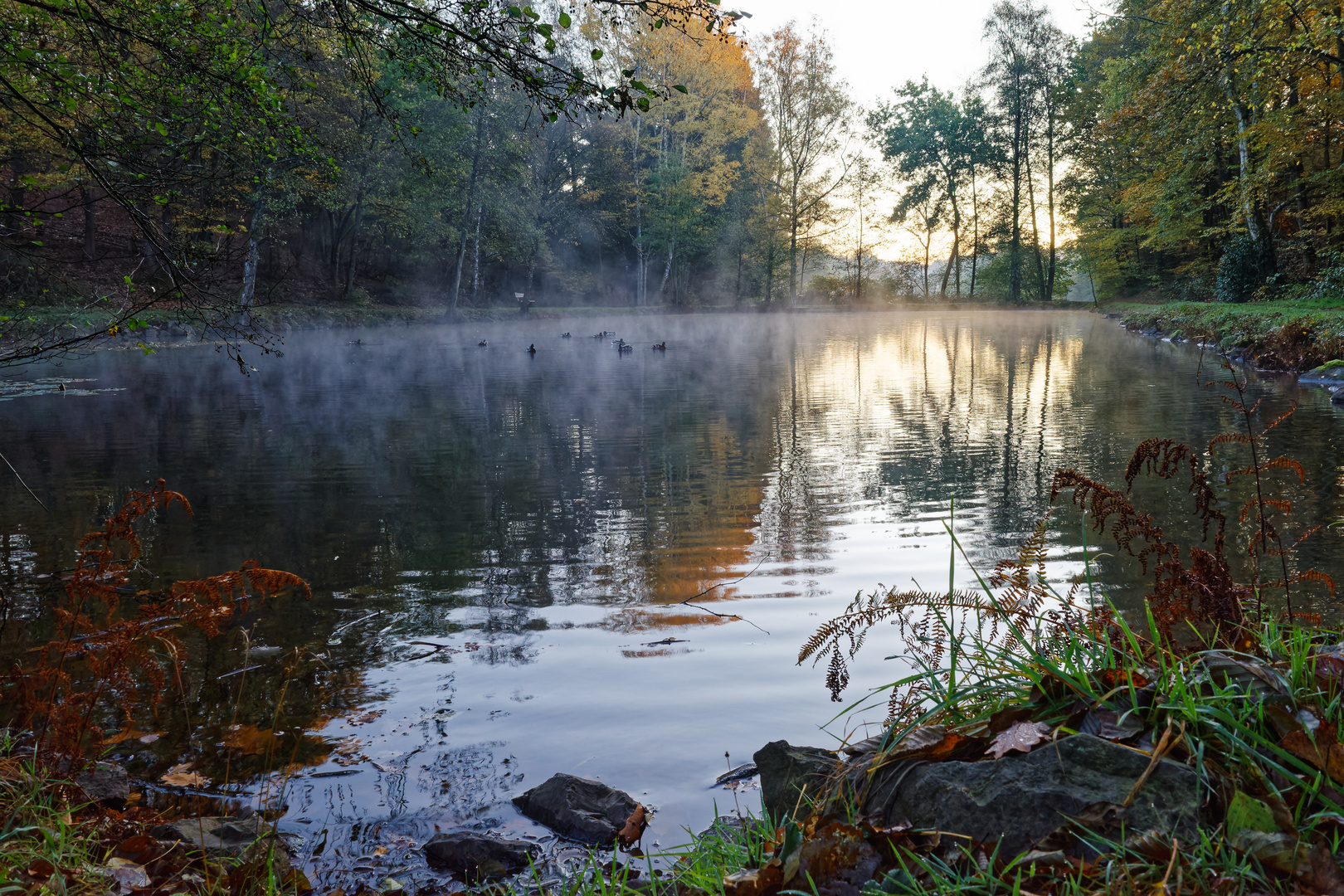 Ein Herbstmorgen am Lasbachteich