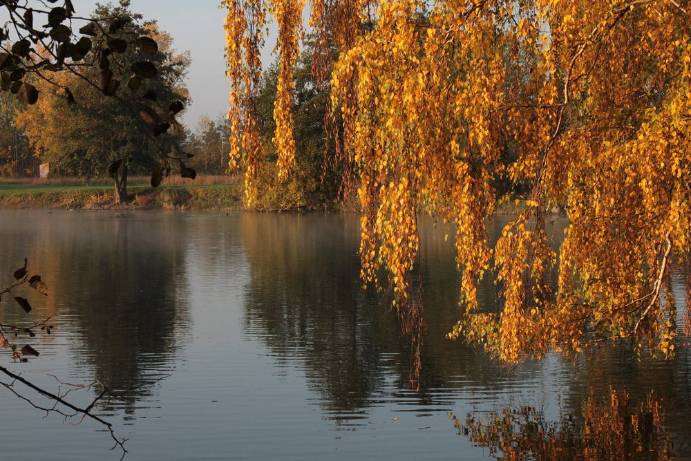 Ein Herbstmorgen am See