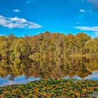 Ein Herbstmorgen am Teufelssee