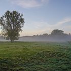 Ein Herbstmorgen