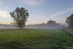 Ein Herbstmorgen