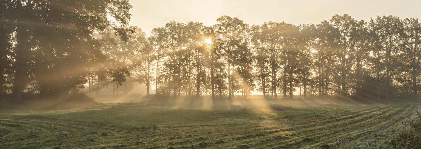 Ein Herbstmorgen