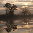 ein Herbstmorgen Erwacht