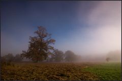 Ein Herbstmorgen