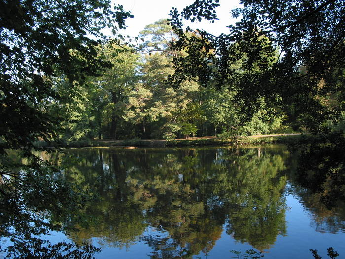 Ein Herbstmorgen im Bergpark