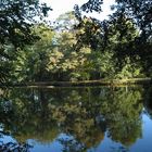 Ein Herbstmorgen im Bergpark