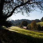 Ein Herbstmorgen im Krebsbachtal