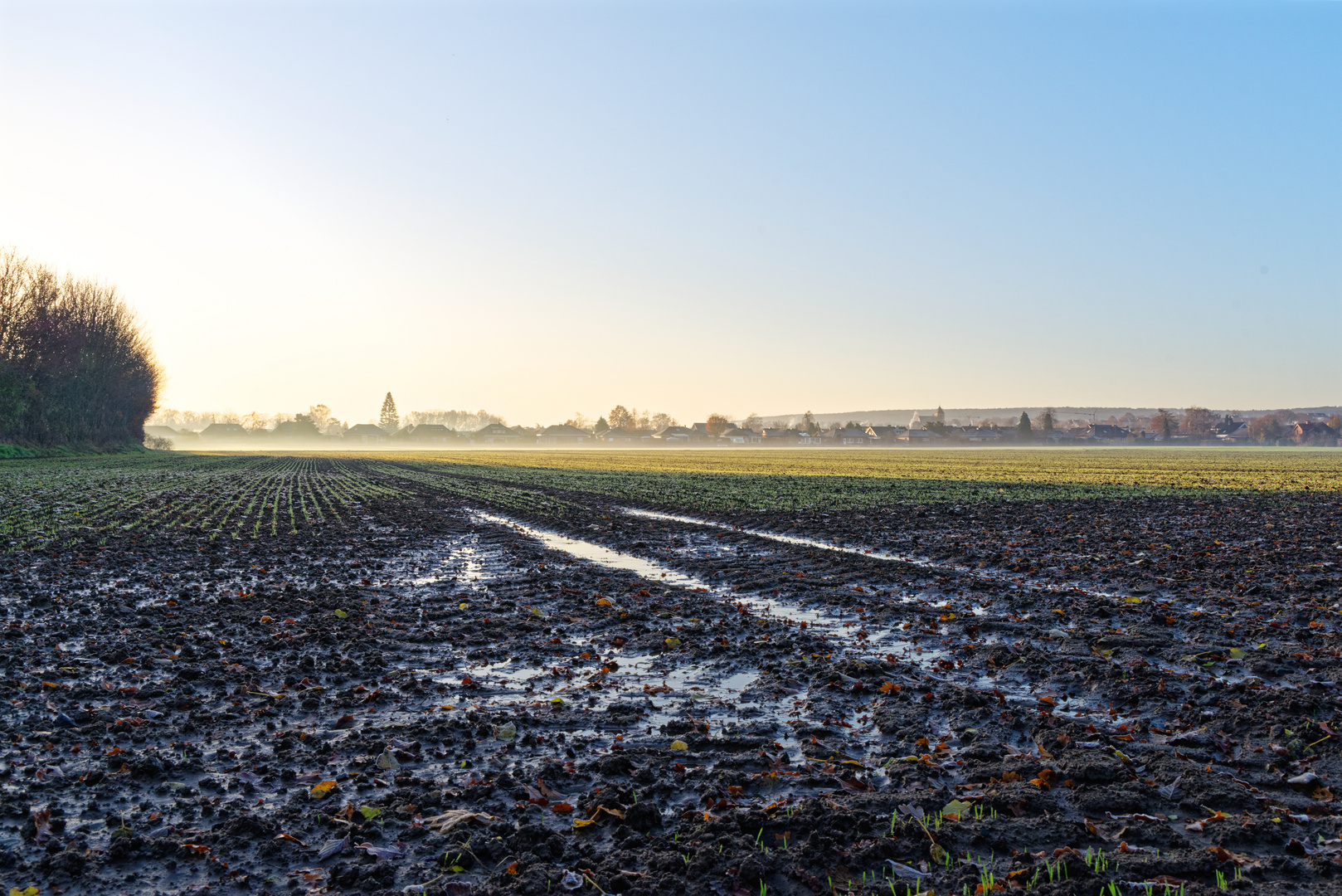 Ein Herbstmorgen im Münsterland