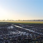 Ein Herbstmorgen im Münsterland