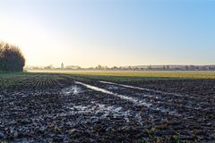 Ein Herbstmorgen im Münsterland