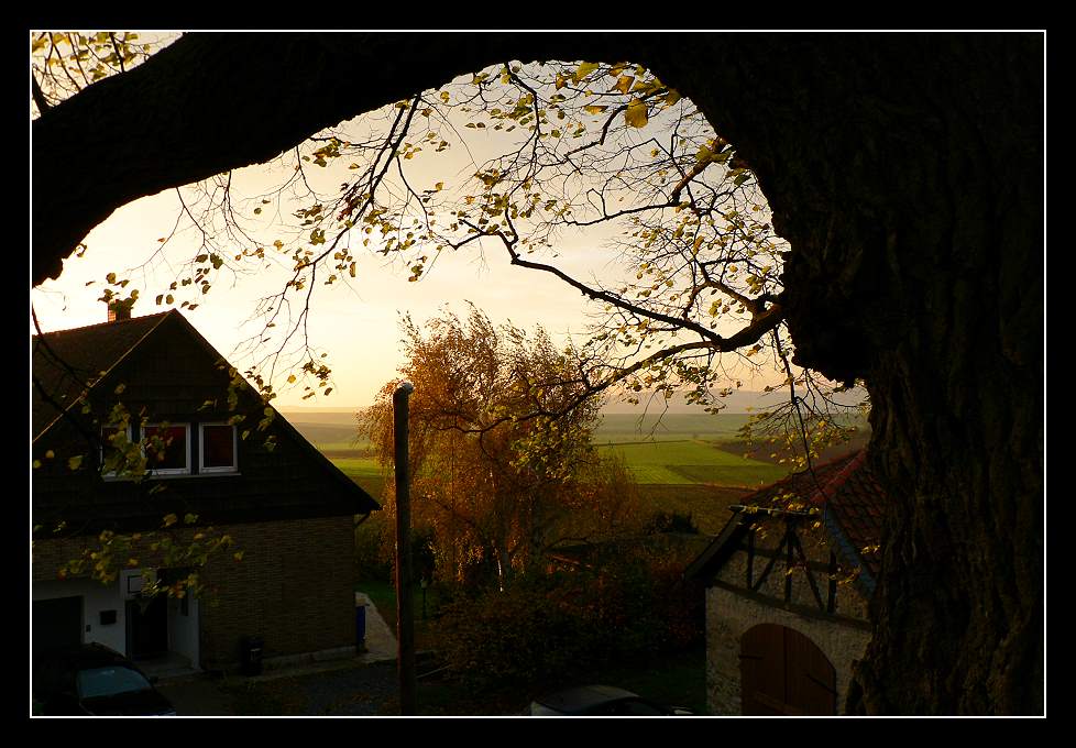 Ein Herbstmorgen in Evessen bei Braunschweig