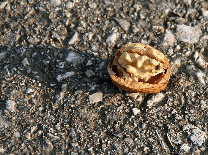 Ein Herbstmotiv