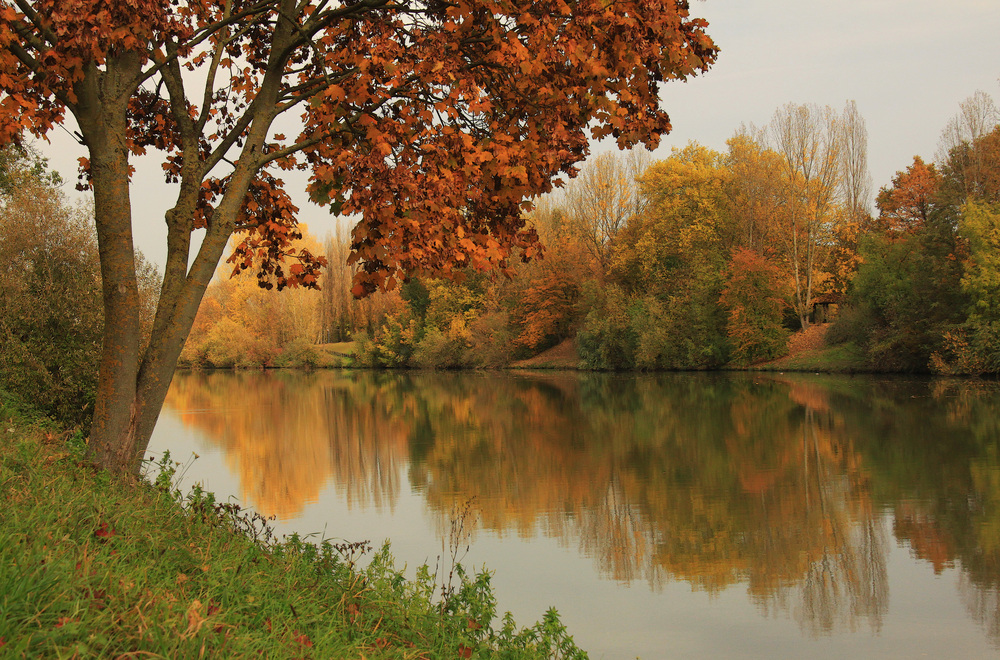 Ein Herbstnachmittag am Neckar