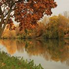 Ein Herbstnachmittag am Neckar