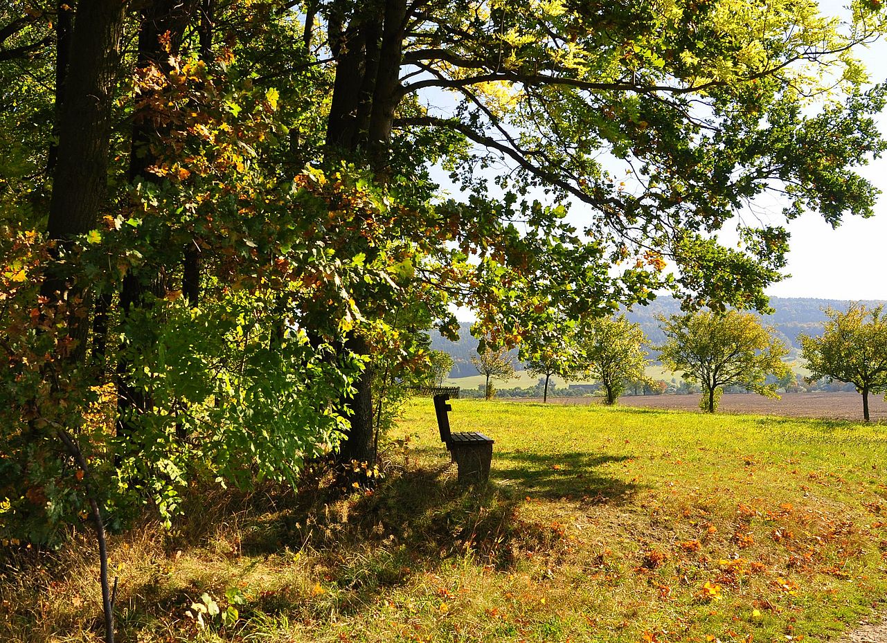 Ein Herbstsonn(en)tag 