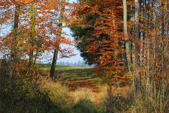 ein Herbstspaziergang