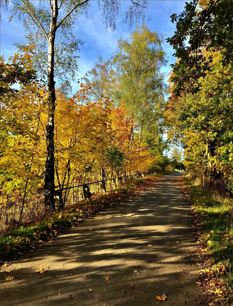 ein Herbstspaziergang