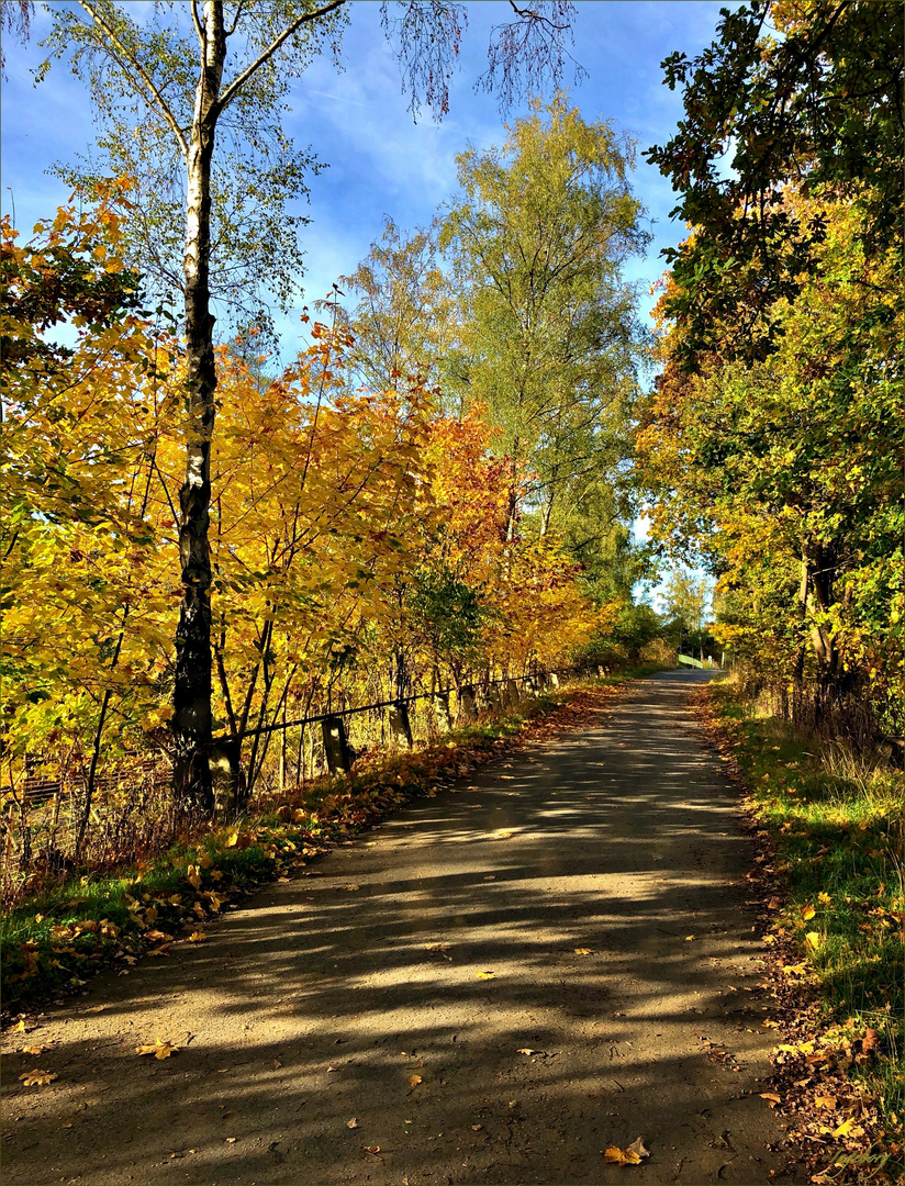 ein Herbstspaziergang