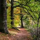 Ein Herbstspaziergang