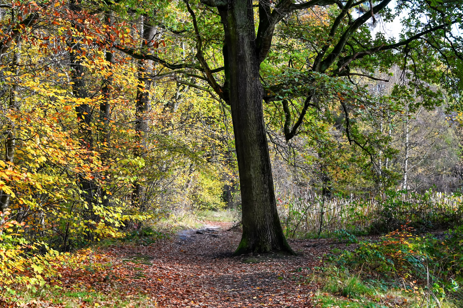 Ein Herbstspaziergang