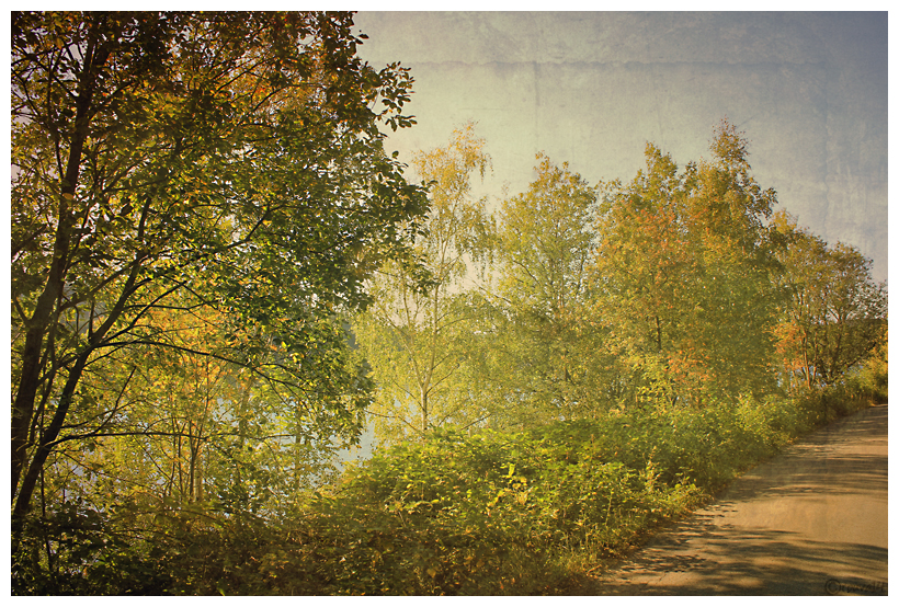 Ein Herbstspaziergang