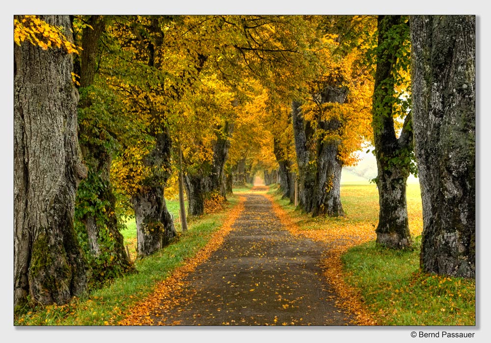 Ein Herbstspaziergang