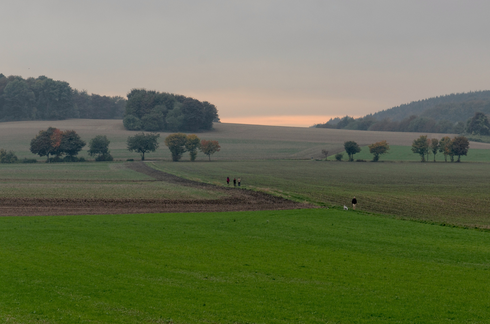 Ein Herbstspaziergang