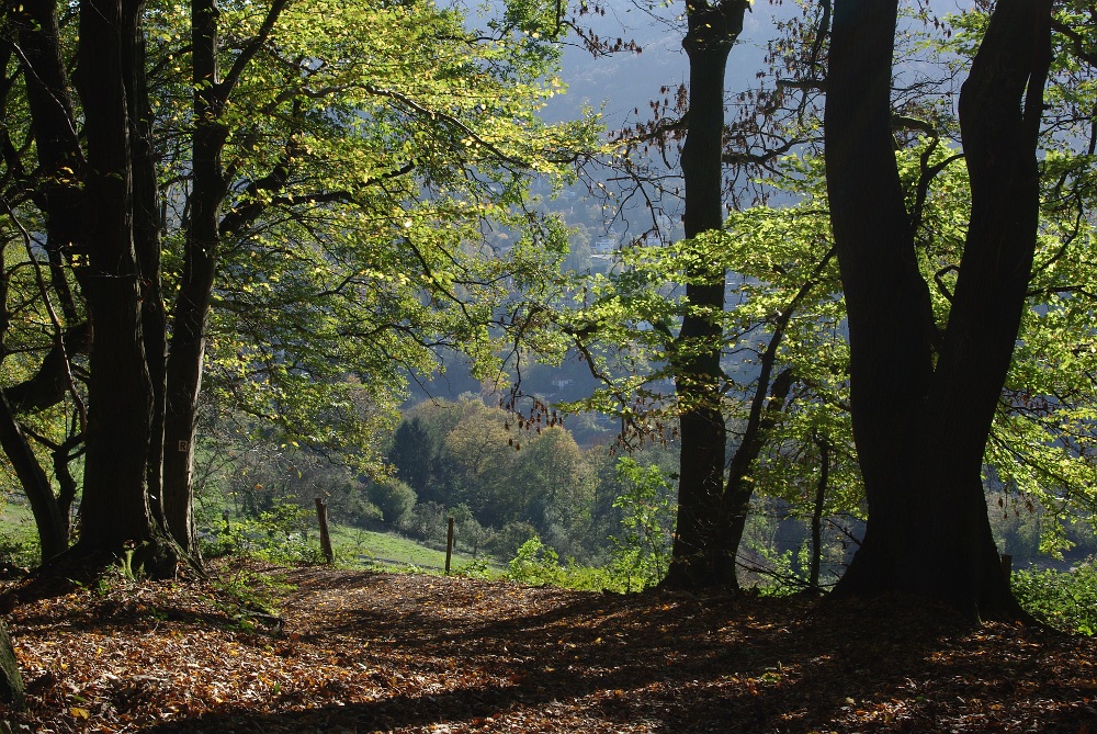 Ein Herbsttag