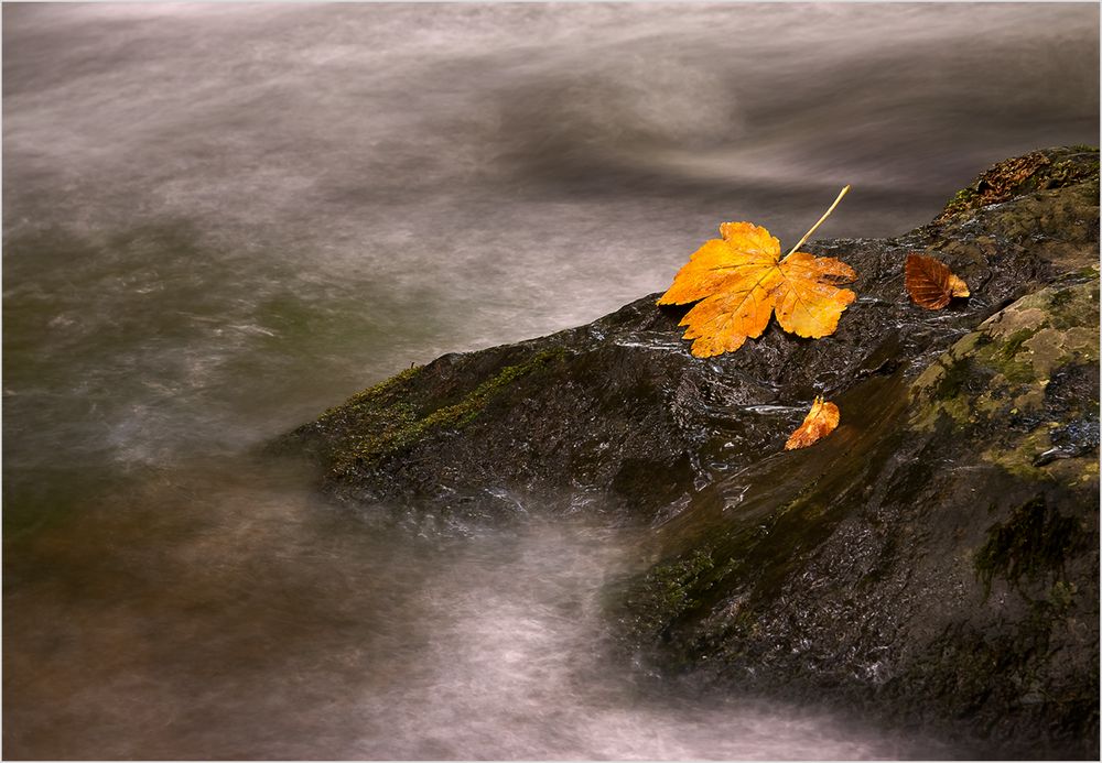 ein Herbsttag....