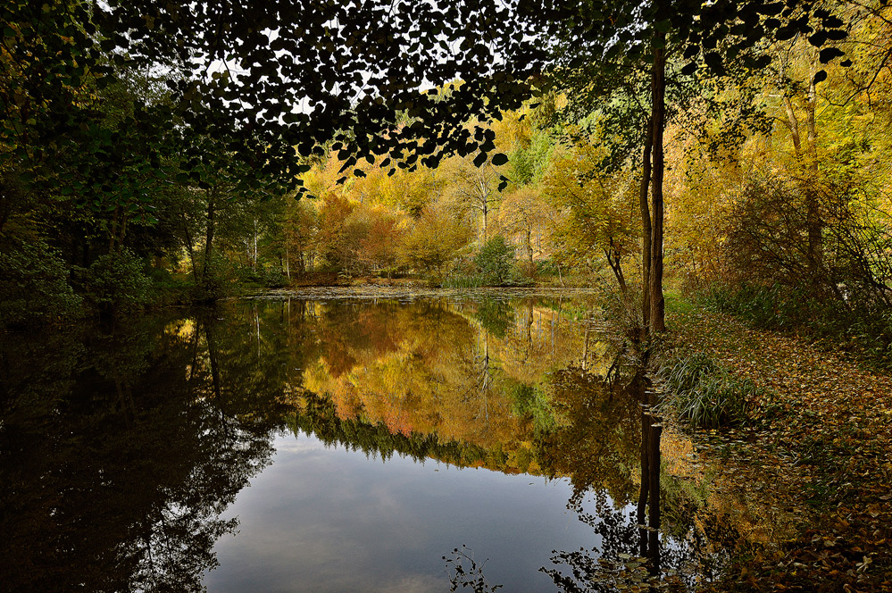 ein Herbsttag