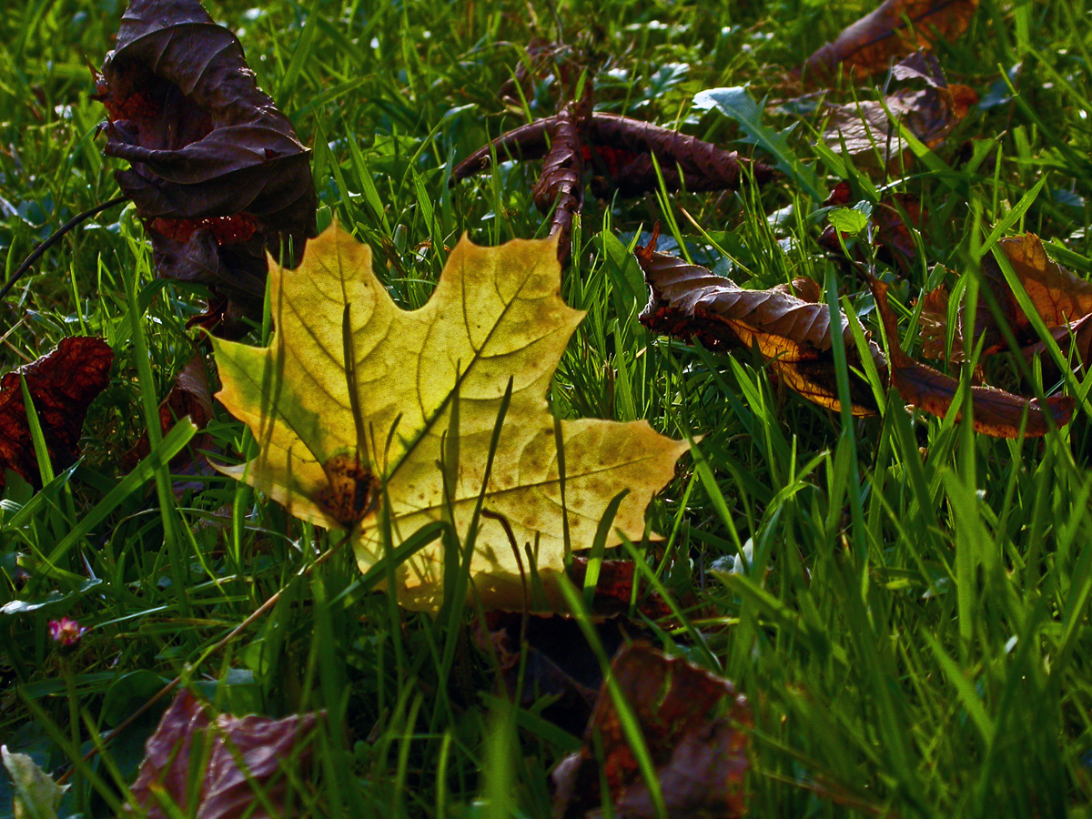 Ein Herbsttag