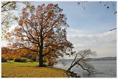 ein herbsttag