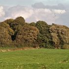 ein Herbsttag am Großes meer im schönen Ostfriesland (Südbrookmerland)