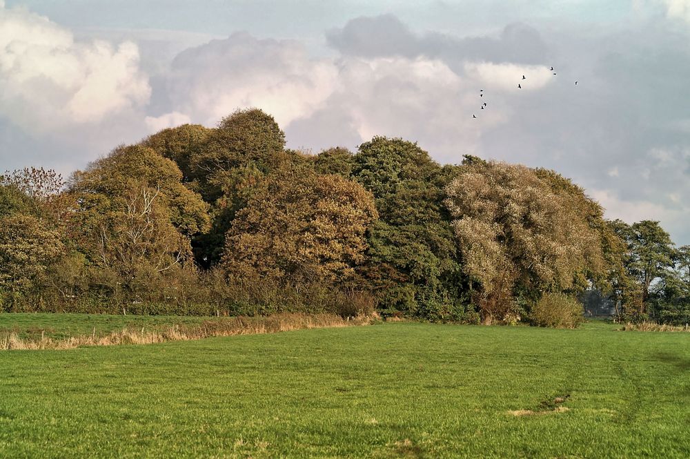 ein Herbsttag am Großes meer im schönen Ostfriesland (Südbrookmerland)