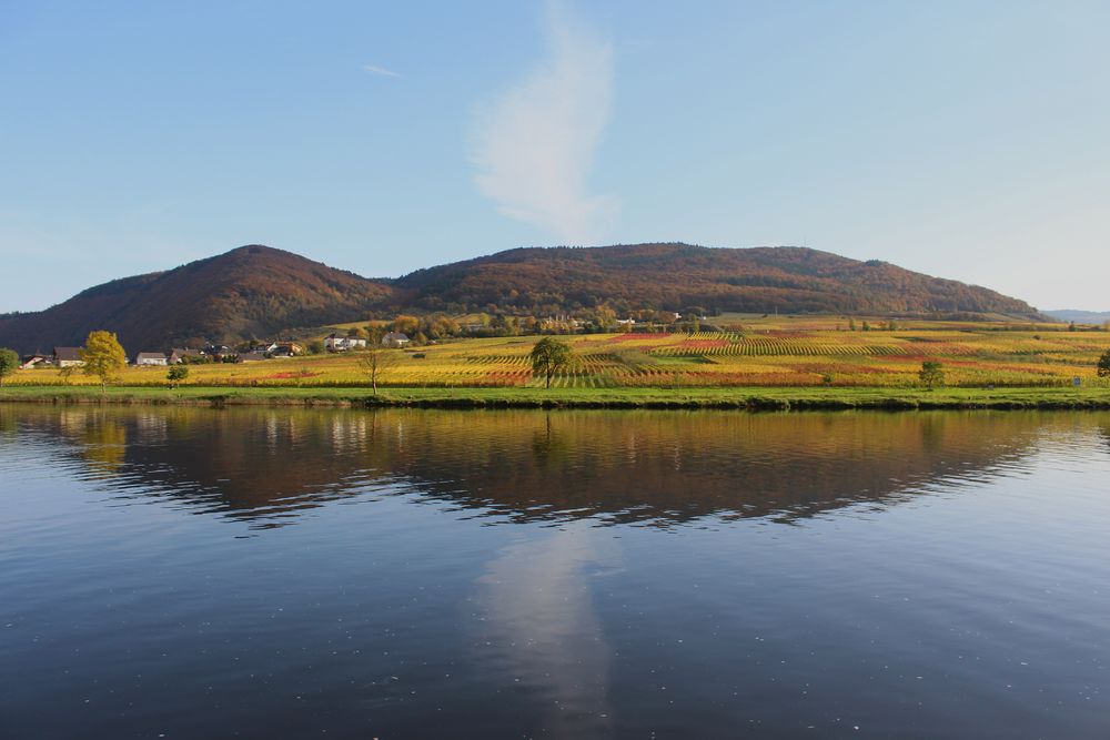 Ein Herbsttag an der Mosel