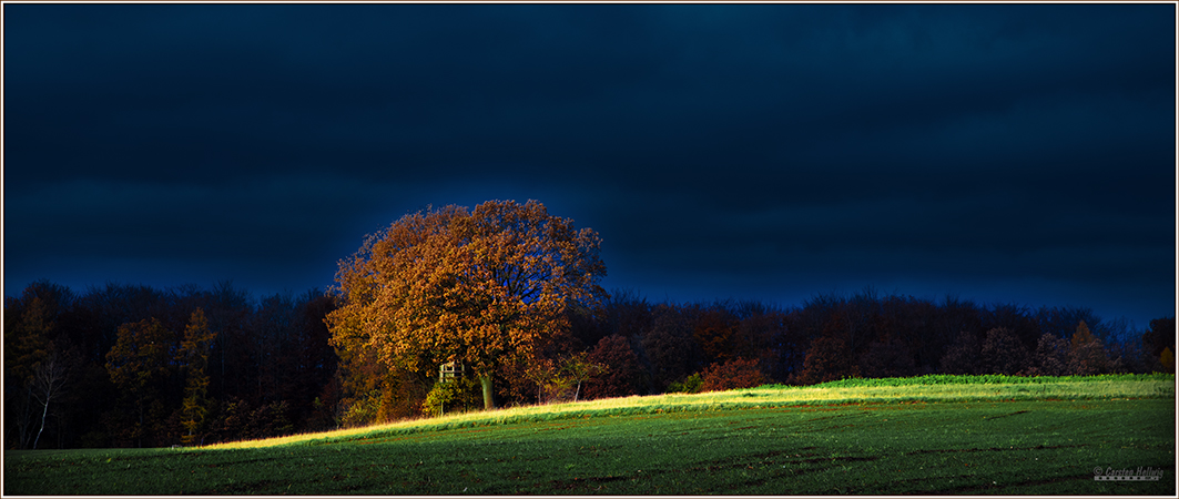 Ein Herbsttag