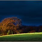 Ein Herbsttag