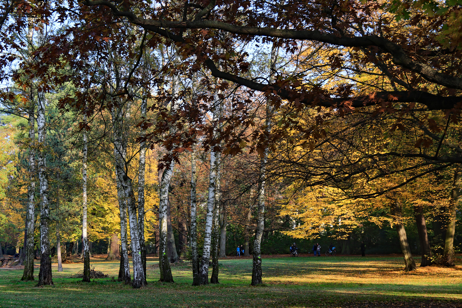 Ein Herbsttag