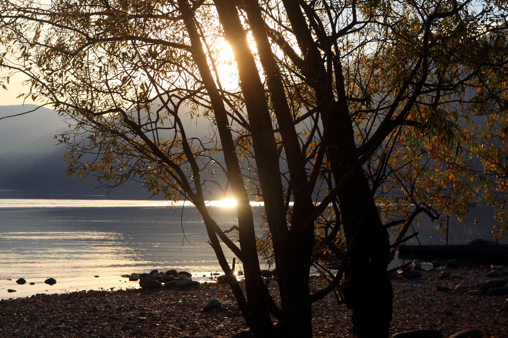 Ein Herbsttag......