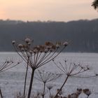 Ein Herbsttag geht