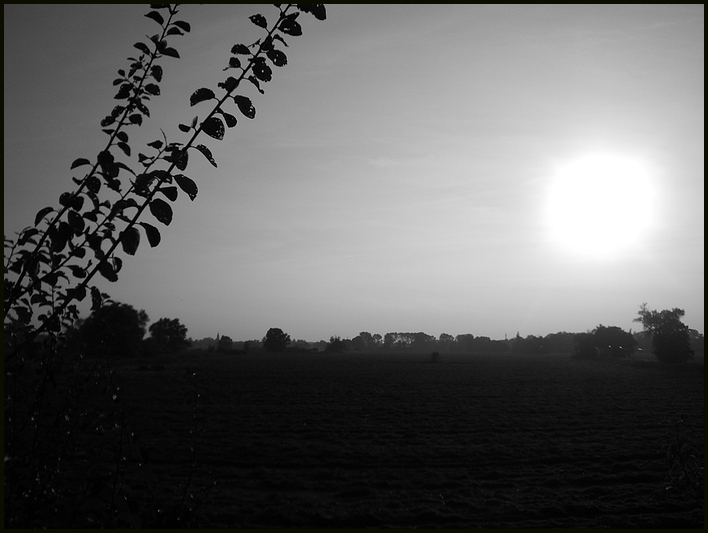 Ein Herbsttag geht zu Ende...