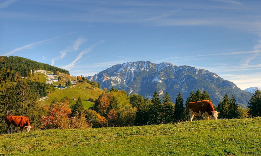 Ein Herbsttag im Ammergau