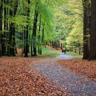 Ein Herbsttag im Jasmunder Wald