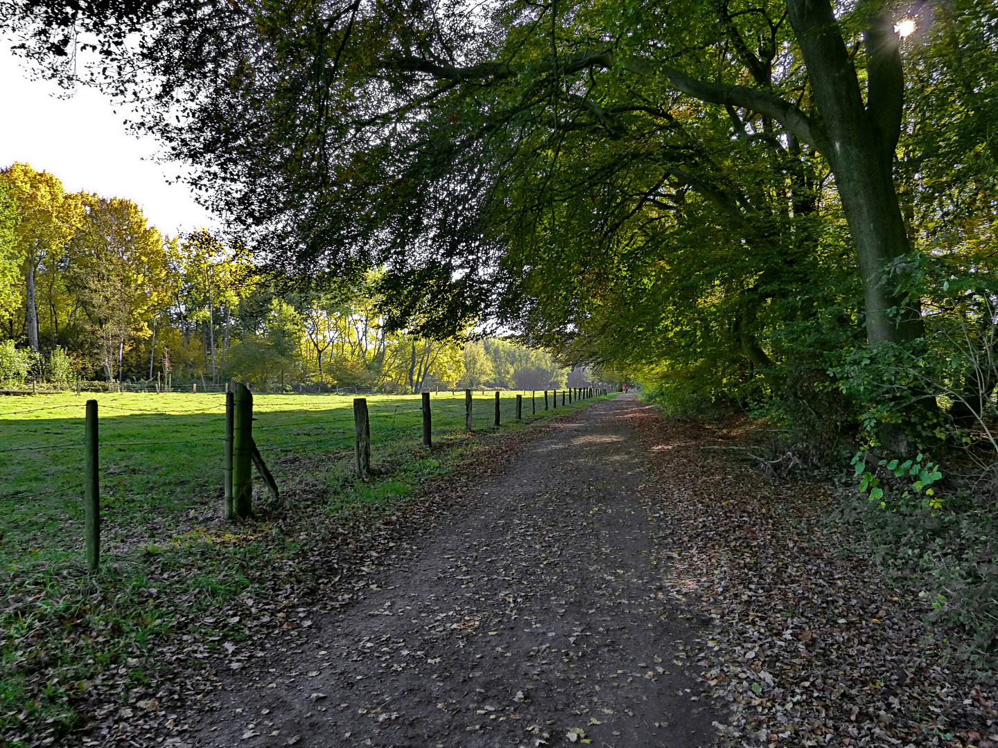 Ein Herbsttag im Nettetal