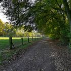 Ein Herbsttag im Nettetal