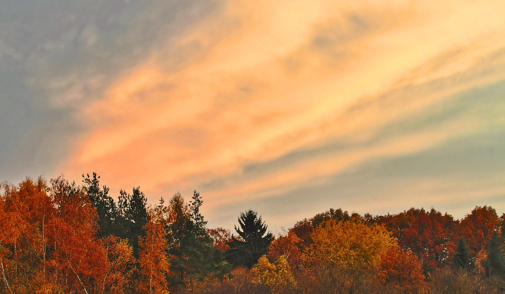 "Ein Herbsttag im November"