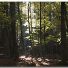 Ein Herbsttag im Taunus