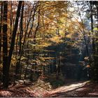 Ein Herbsttag im Taunus